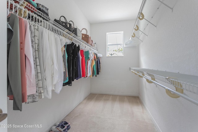 spacious closet with carpet