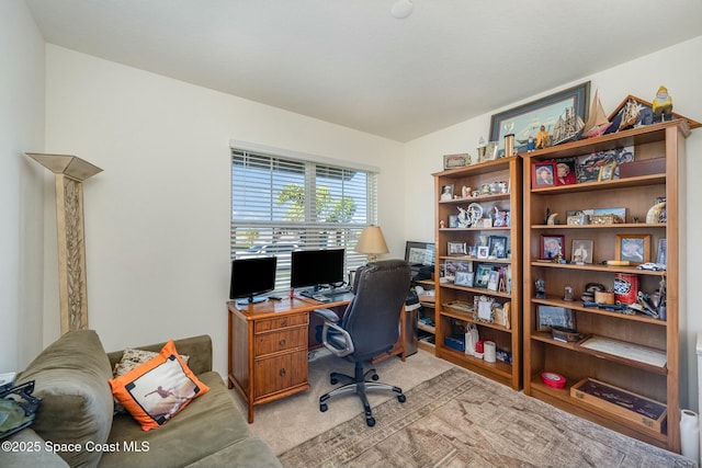 office area featuring light colored carpet