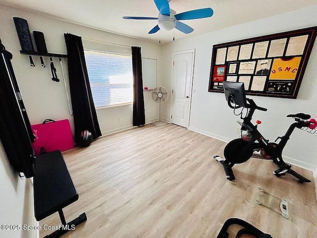 workout room featuring ceiling fan and light wood-type flooring