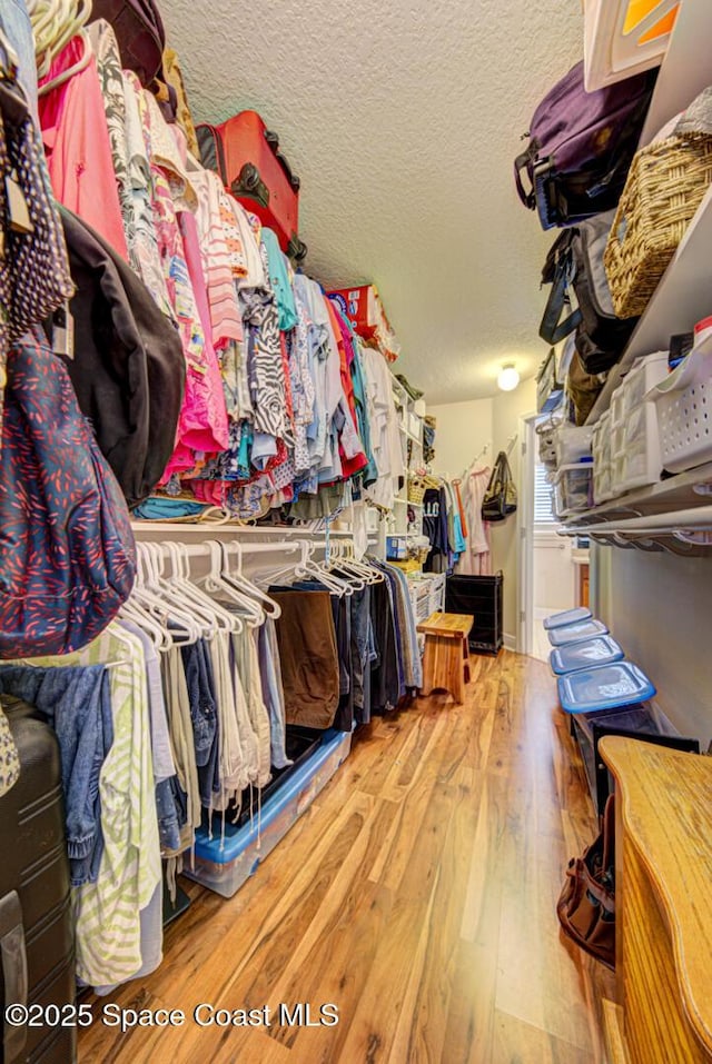 spacious closet featuring wood-type flooring