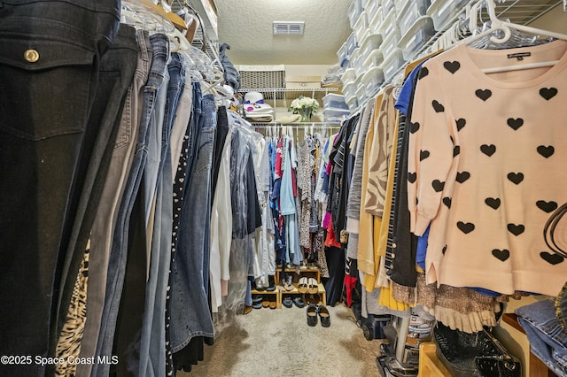 spacious closet with carpet flooring