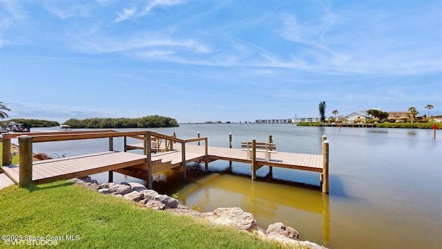 dock area with a water view