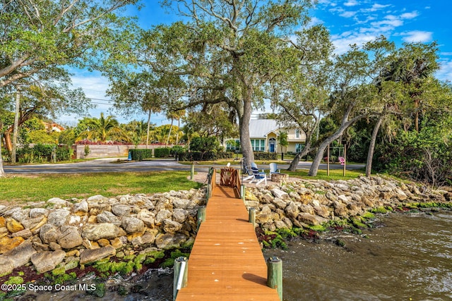 dock area with a water view