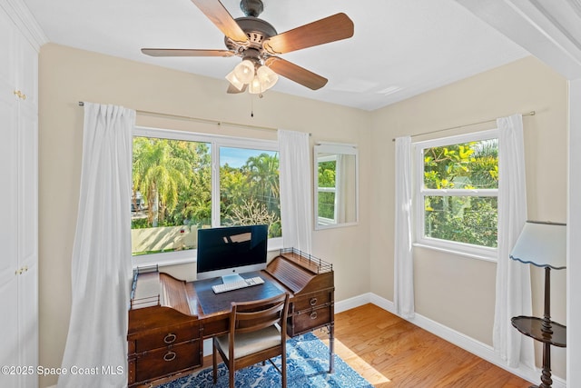 home office with hardwood / wood-style flooring and ceiling fan