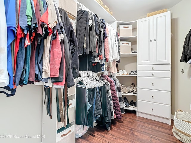 spacious closet with dark hardwood / wood-style floors