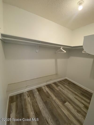 walk in closet with wood finished floors