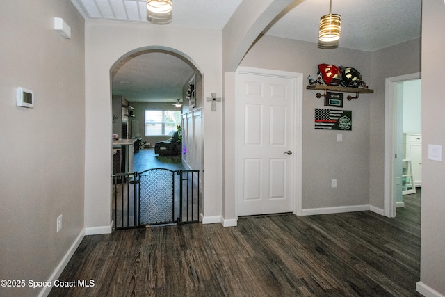 corridor featuring dark hardwood / wood-style floors