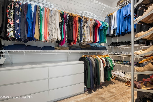 spacious closet featuring light hardwood / wood-style flooring