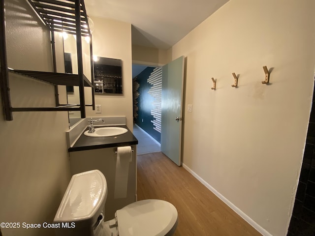 bathroom featuring vanity, wood-type flooring, and toilet