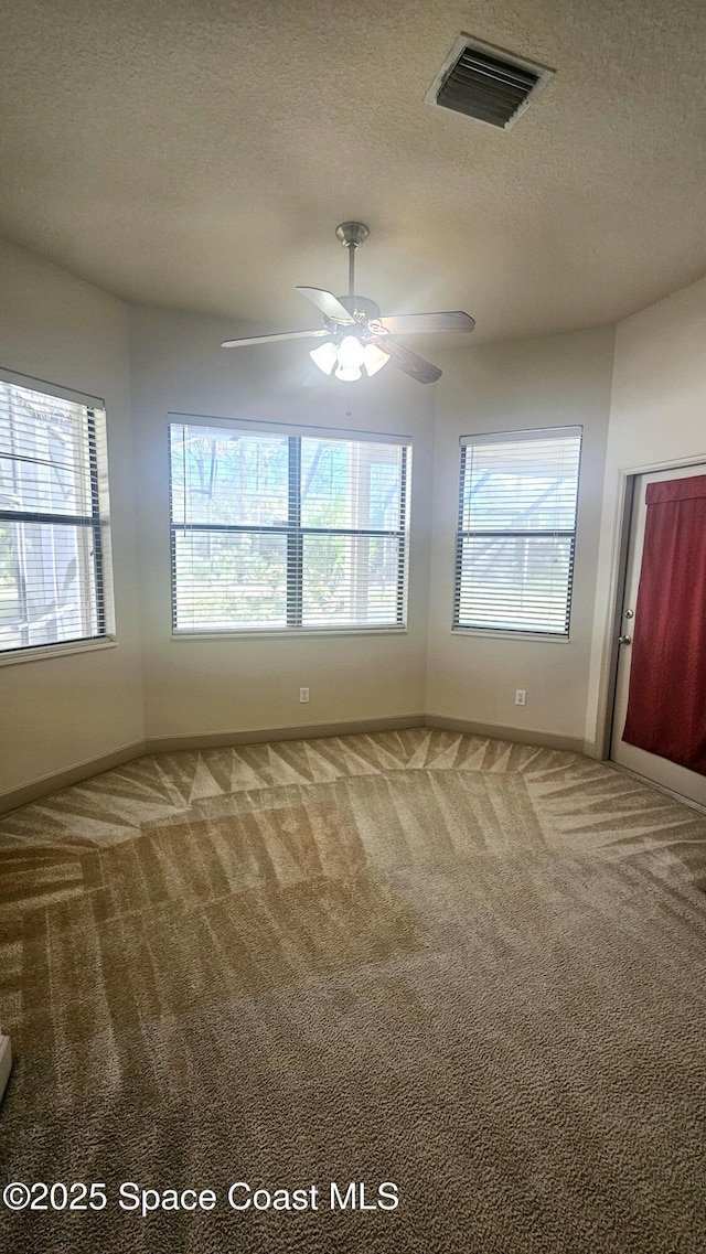 carpeted spare room with ceiling fan, plenty of natural light, and a textured ceiling