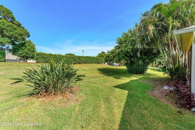 926 Pine Creek Cir NE, Palm Bay, FL 32905 - view of grassy yard