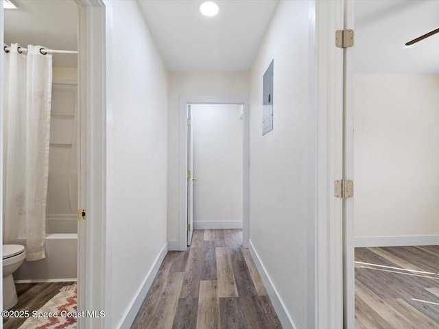 corridor featuring hardwood / wood-style flooring and electric panel