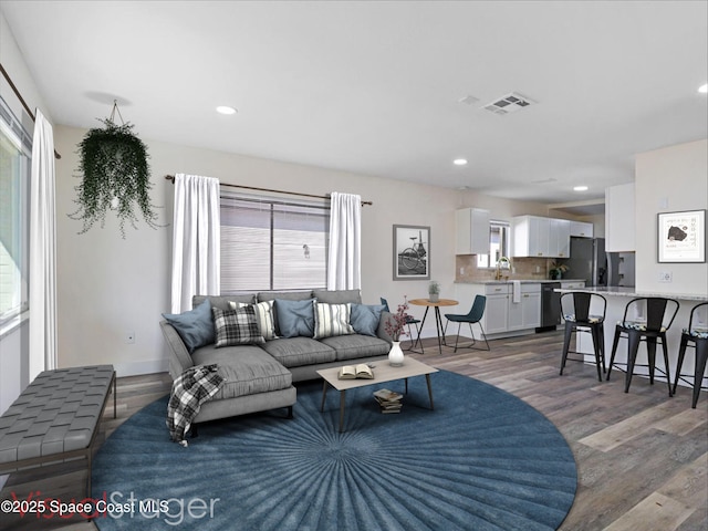 living room with sink and wood-type flooring