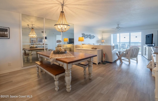 dining area featuring ceiling fan with notable chandelier, hardwood / wood-style floors, and a textured ceiling