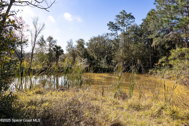 view of local wilderness featuring a water view