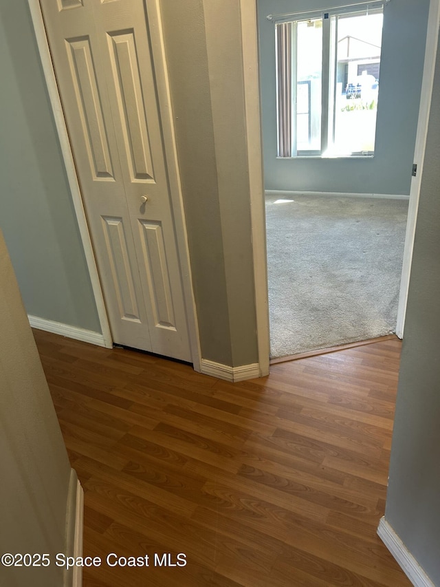 hallway with wood finished floors, baseboards, and carpet floors