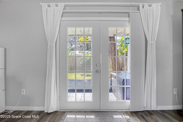 doorway featuring dark wood-type flooring and french doors