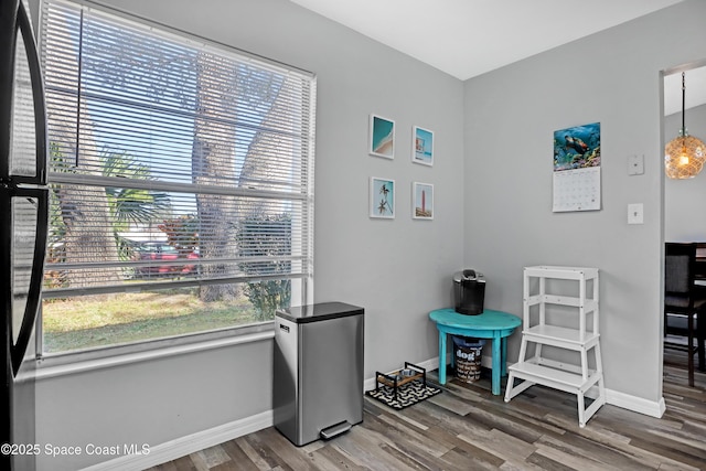 interior space featuring hardwood / wood-style floors