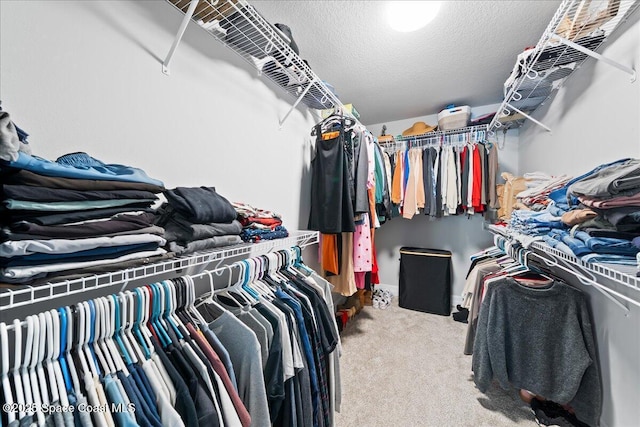 walk in closet with light carpet