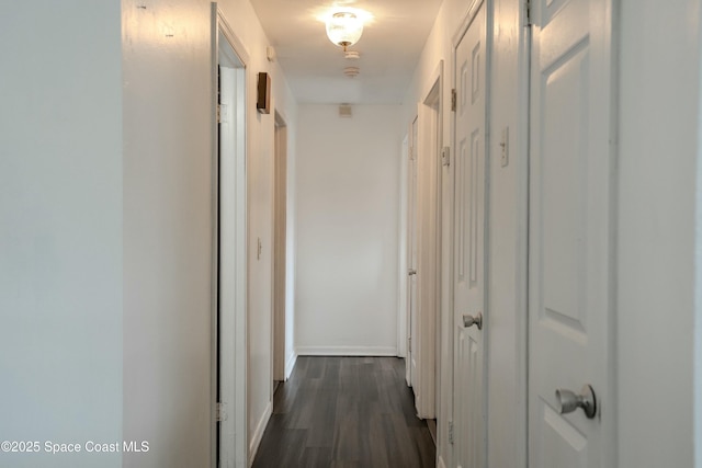 hallway with dark wood-type flooring