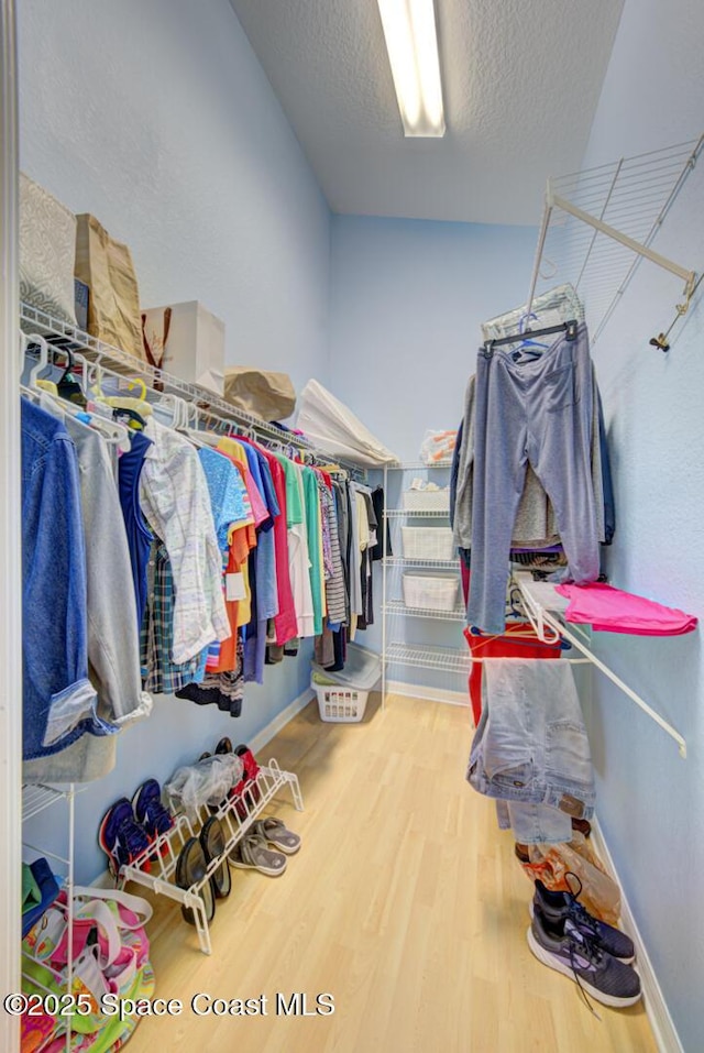 spacious closet featuring hardwood / wood-style floors