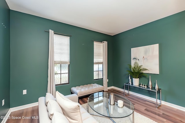 living room with hardwood / wood-style floors