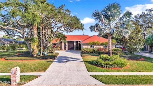 view of front of home featuring a front lawn