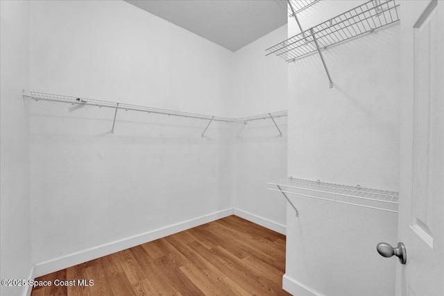 spacious closet with wood-type flooring