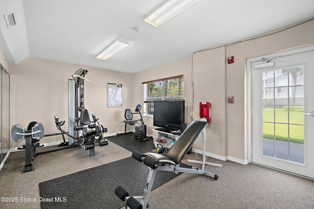 workout area featuring lofted ceiling, a wealth of natural light, and a textured ceiling