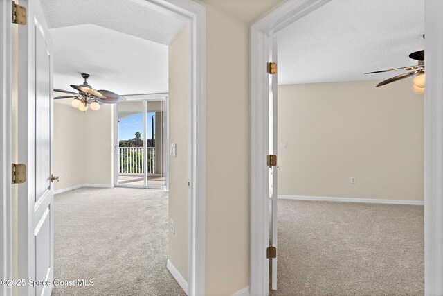 corridor featuring expansive windows, light carpet, and a textured ceiling