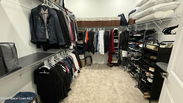 walk in closet with light carpet