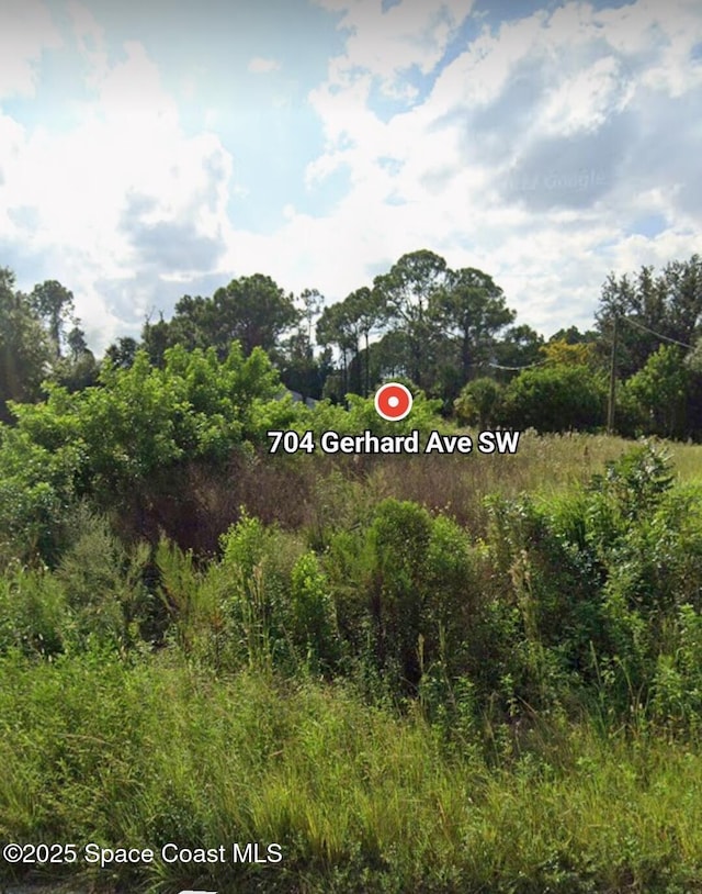 Listing photo 2 for 704 Gerhard Ave SW, Palm Bay FL 32908