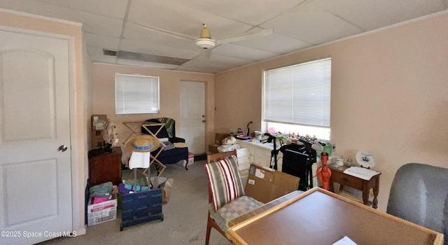 office space with ceiling fan and carpet flooring