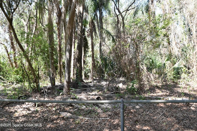 423 Longfellow Blvd, Lakeland, FL 33803 - view of wooded area