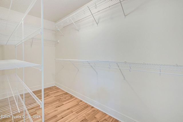 walk in closet featuring wood-type flooring