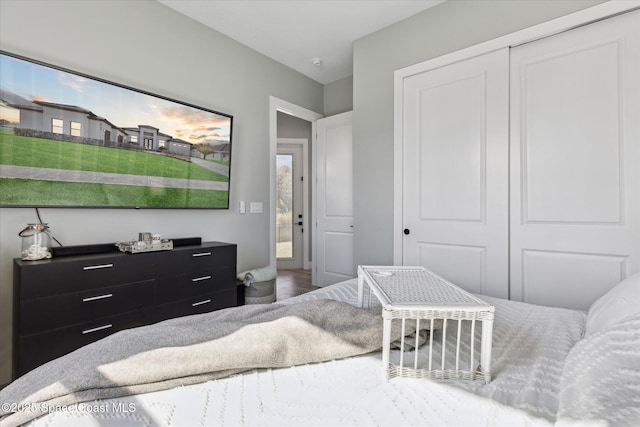 bedroom featuring a closet