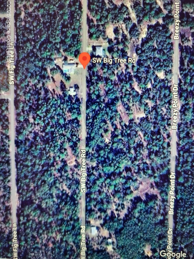 00 SW Big Tree Rd SW, Dunnellon FL, 34431 land for sale