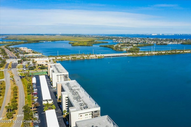 bird's eye view with a water view