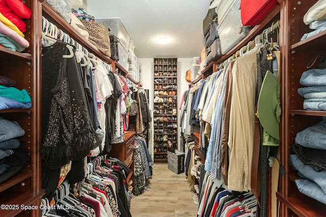 walk in closet featuring light hardwood / wood-style flooring