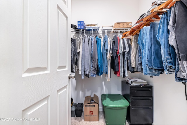 view of walk in closet