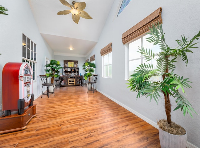 hallway with a towering ceiling and hardwood / wood-style floors