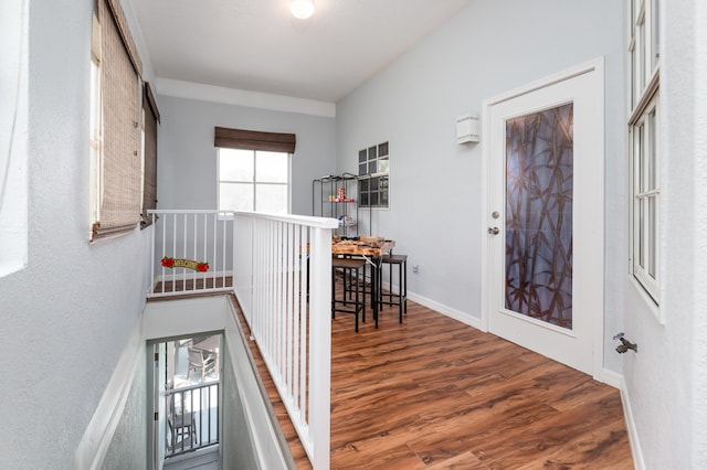 foyer entrance with hardwood / wood-style flooring