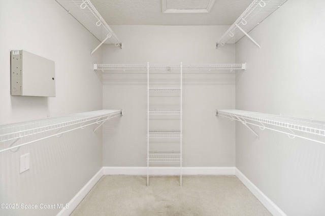 spacious closet featuring carpet flooring