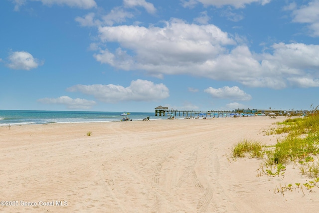 water view featuring a beach view