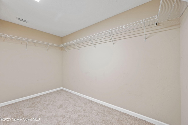 walk in closet featuring carpet flooring