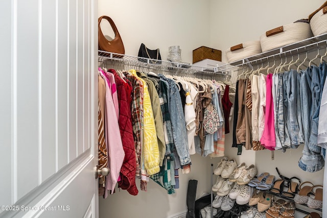 view of spacious closet