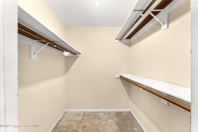 spacious closet with light colored carpet