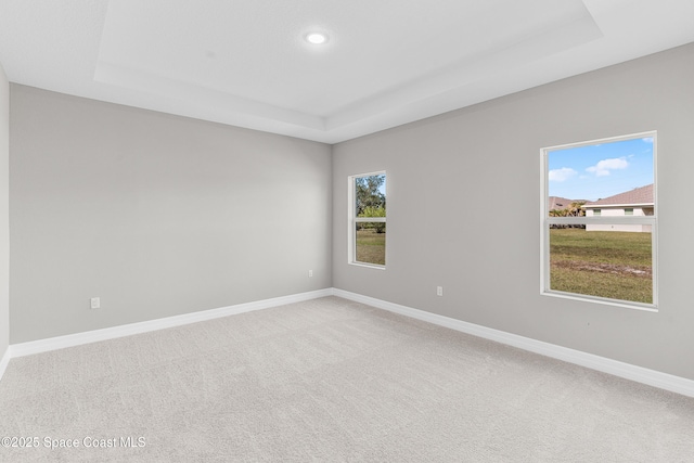 spare room with a tray ceiling and carpet floors