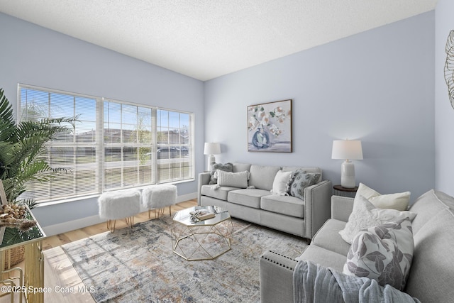 living room featuring hardwood / wood-style flooring and a textured ceiling