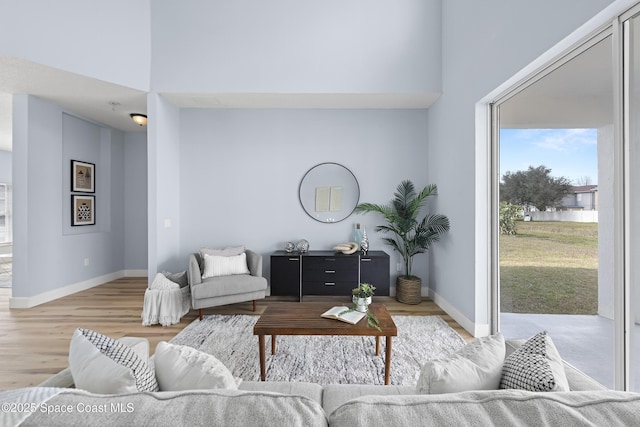 living room featuring a high ceiling and wood-type flooring